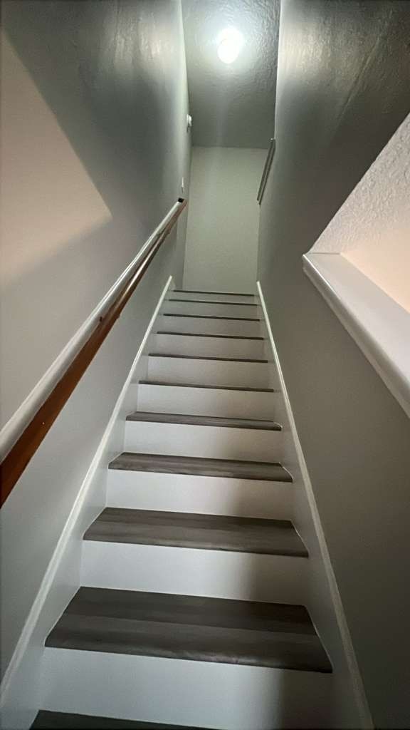 8617 Mapletwist Street Houston, TX 77083 - Photo 7 of 11 a view of entryway