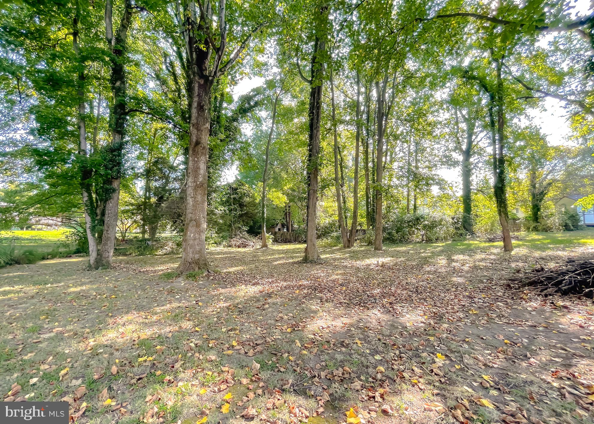 1964 Rye Court Lusby, MD 20657 - Photo 34 of 38 Gallery Image 34