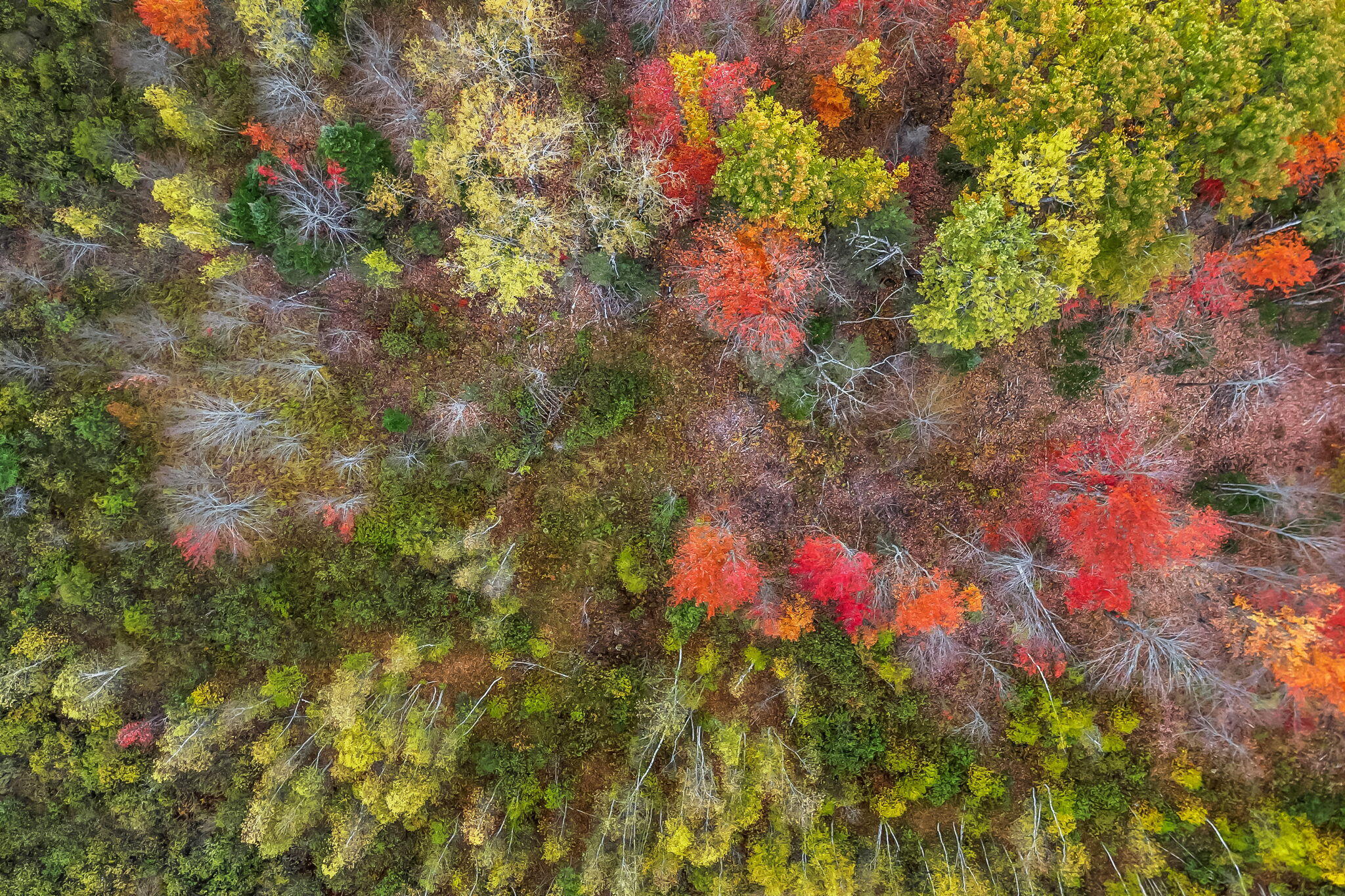 Lot # West Old Town Road Old Town, ME 04468 - Photo 11 of 14 10-web-or-mls-370-w-old-town-rd