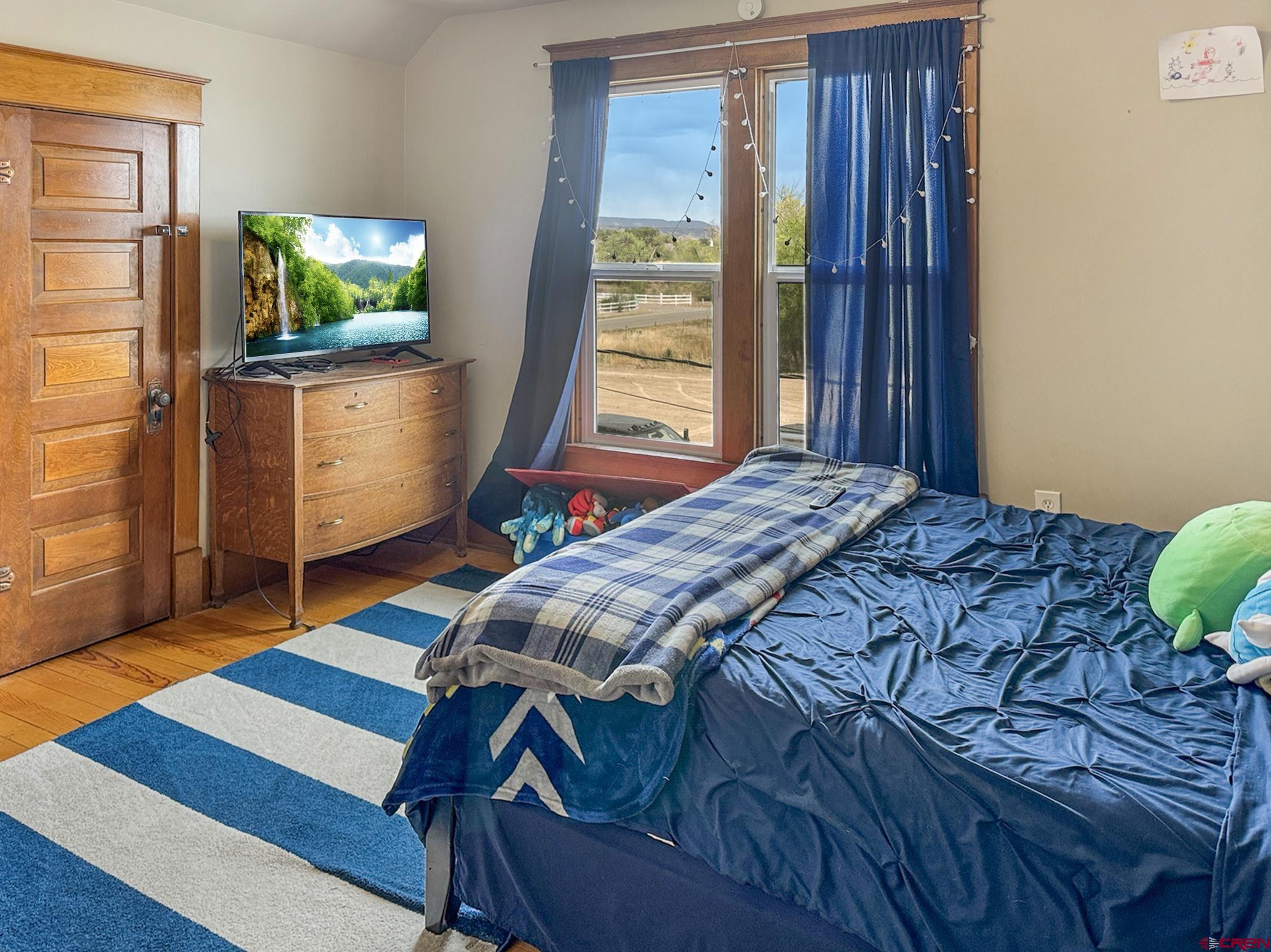 20570 Iris Road Austin, CO 81410 - Photo 20 of 35 a bedroom with a bed window and flat screen tv