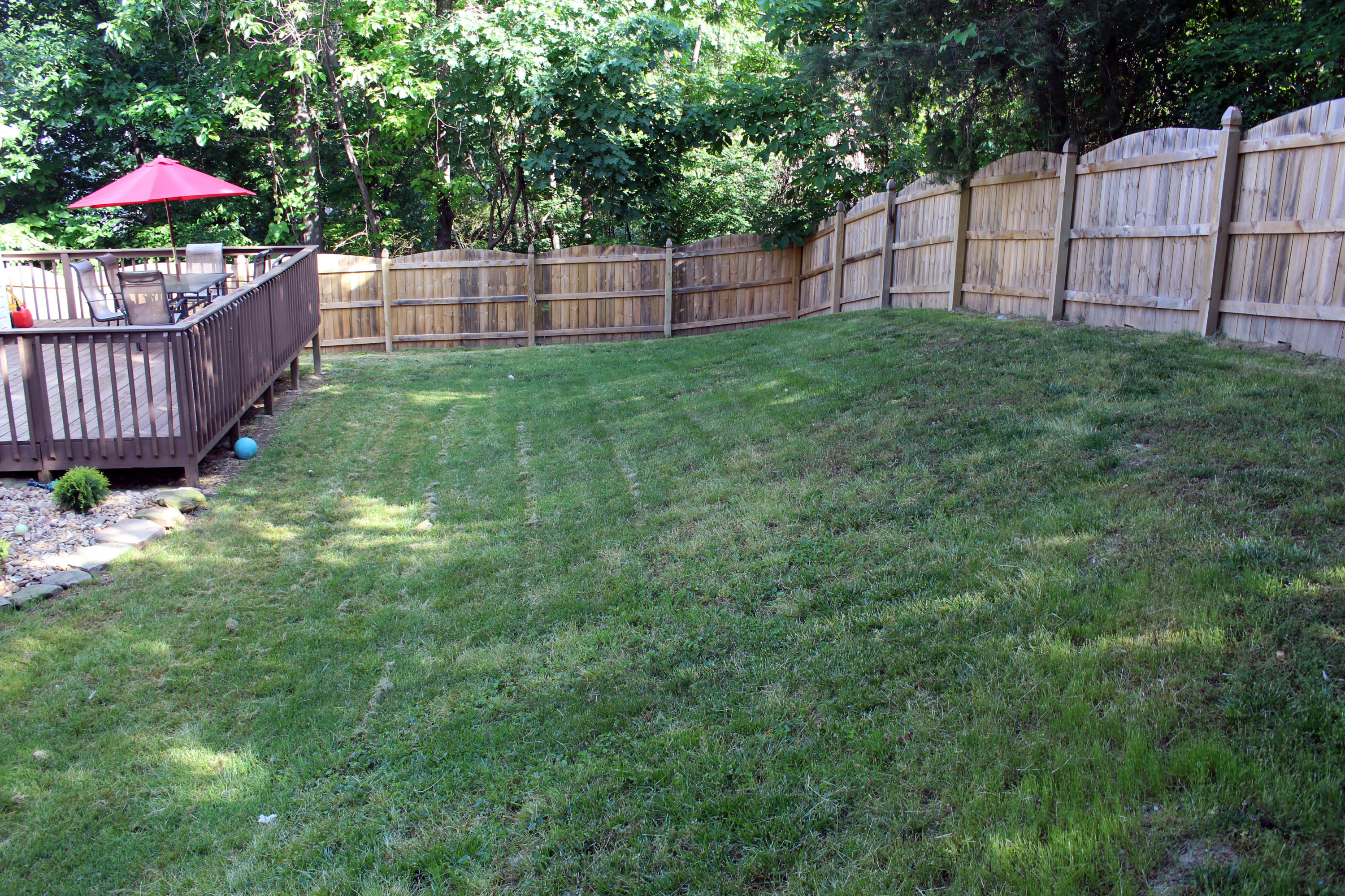 6429 Ridge Run Drive Knoxville, TN 37921 - Photo 21 of 23 back yard
