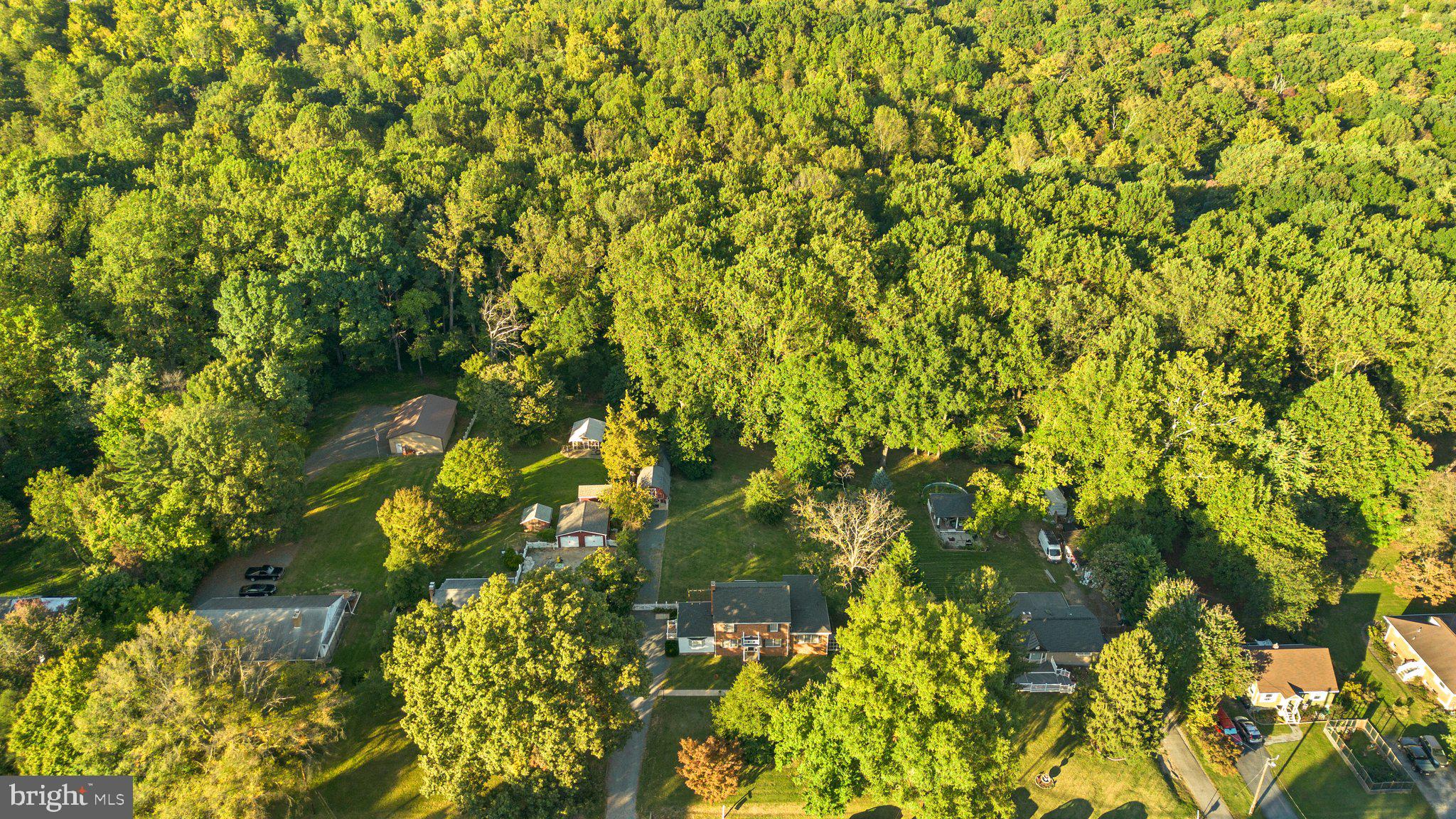 7908 Brooklyn Bridge Road Laurel, MD 20707 - Photo 4 of 55 2 ACRE LOT! BACKS TO PRESERVE