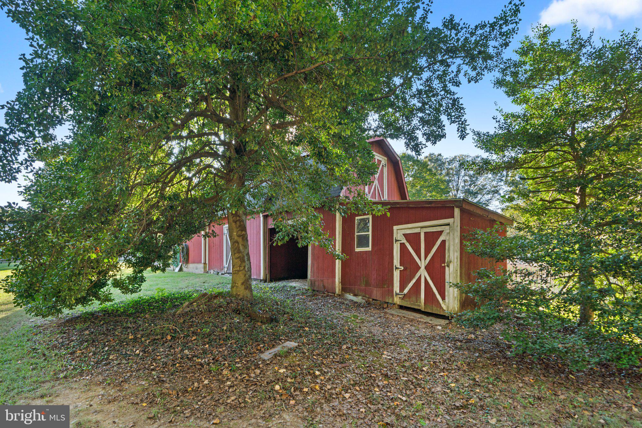 7908 Brooklyn Bridge Road Laurel, MD 20707 - Photo 48 of 55 REAR SHED UNIT