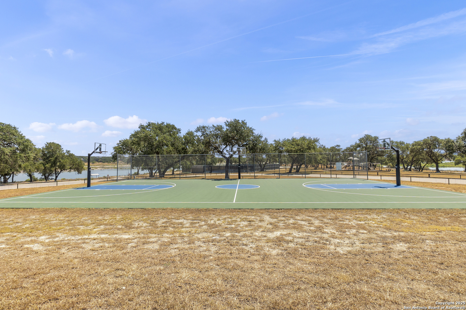 1178 Mystic Parkway Spring Branch, TX 78070 - Photo 60 of 62 a view of a golf course with a lake