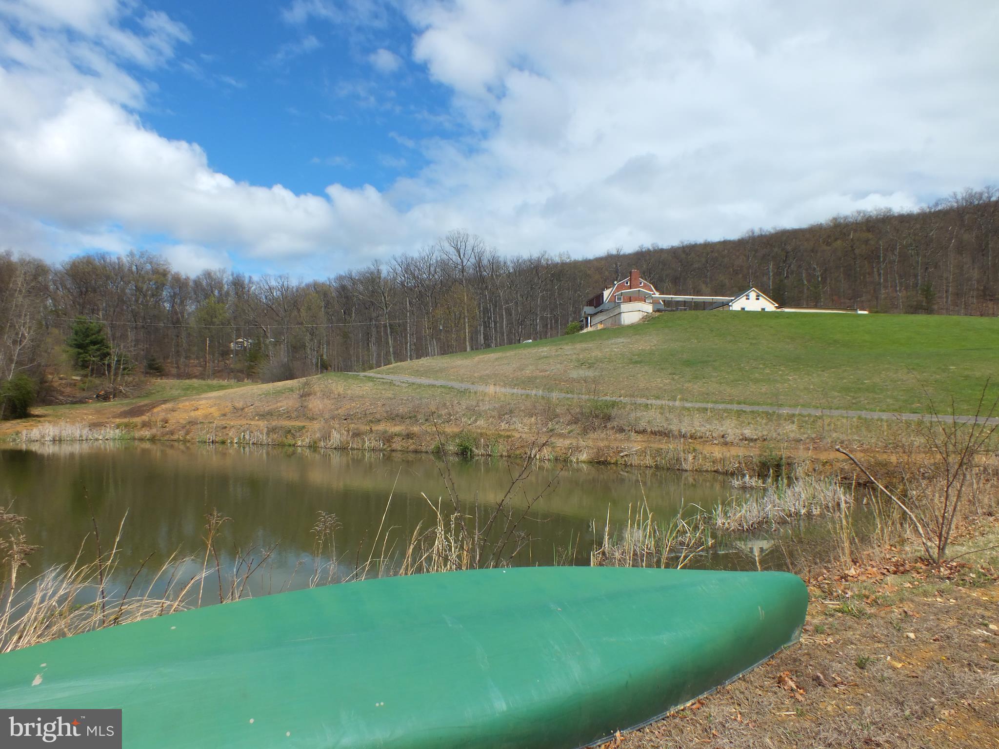 1176 Perry Road Winchester, VA 22602 - Photo 3 of 30 Stocked pond in 2017, but let them grow!