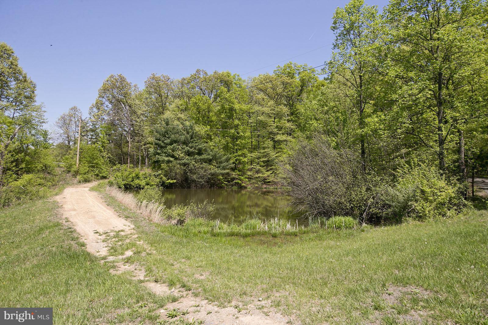 1176 Perry Road Winchester, VA 22602 - Photo 29 of 30 Shared pond see GIS Map Mainly on this property