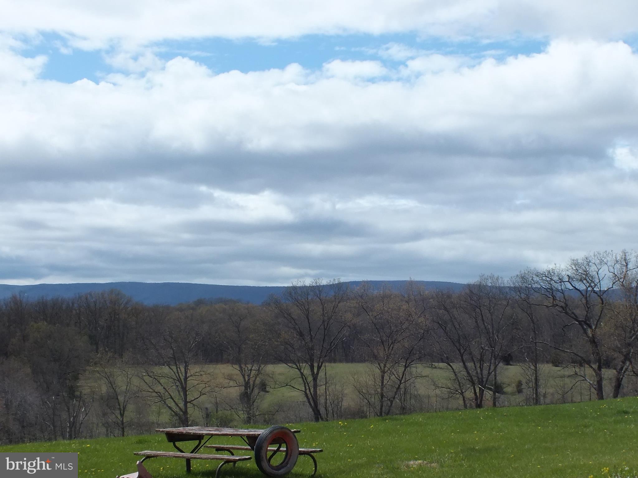 1176 Perry Road Winchester, VA 22602 - Photo 4 of 30 Mountain Views