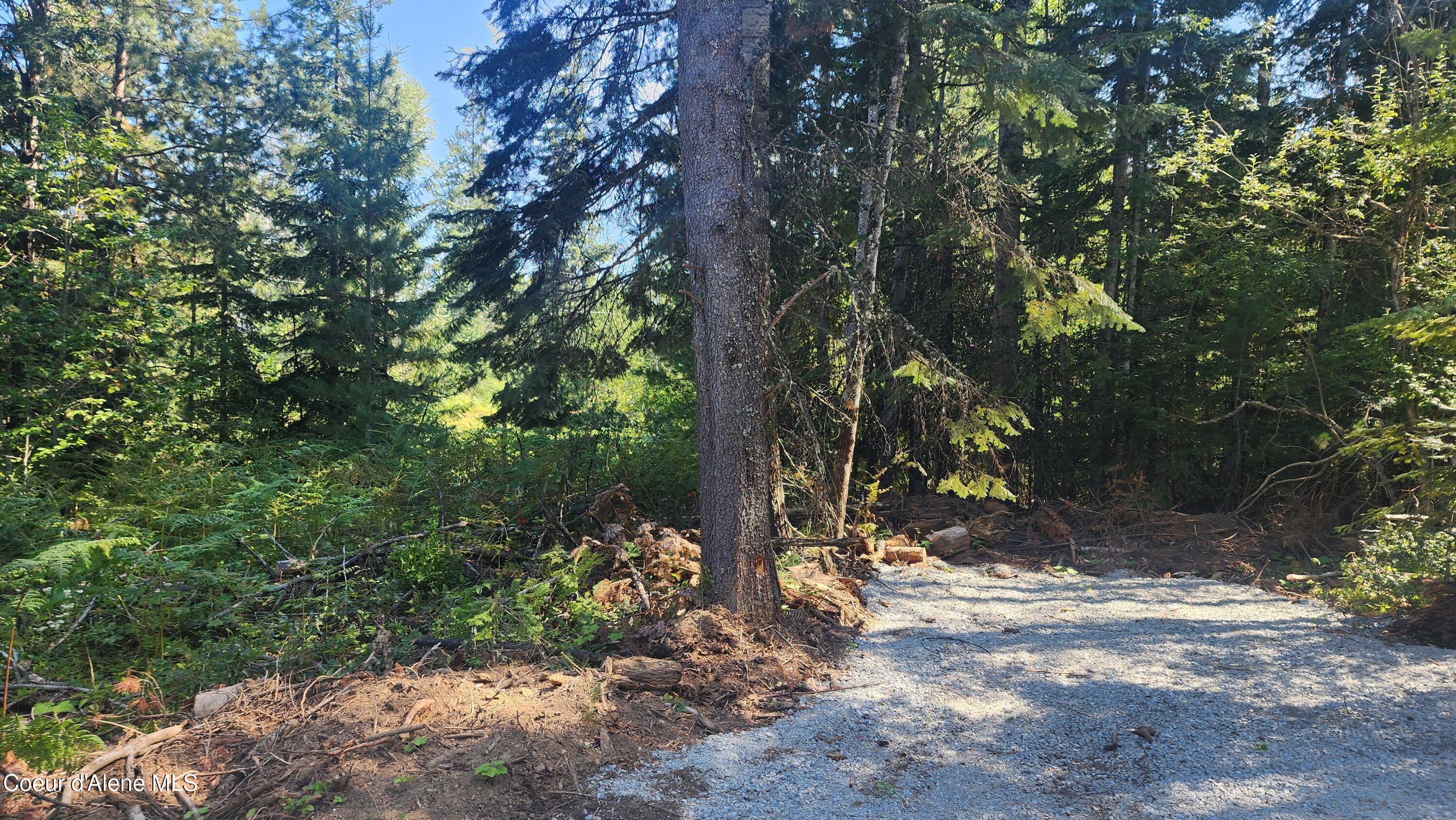 26 Elkhorn Road Priest River, ID 83856 - Photo 14 of 20 11