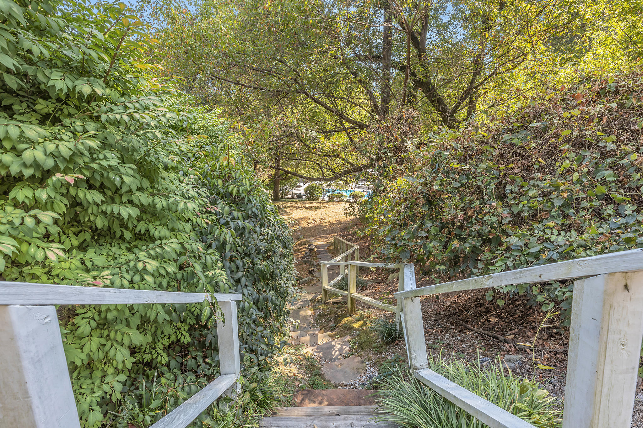 561 Winterview Lane Chattanooga, TN 37409 - Photo 20 of 24 Stairs to Pool