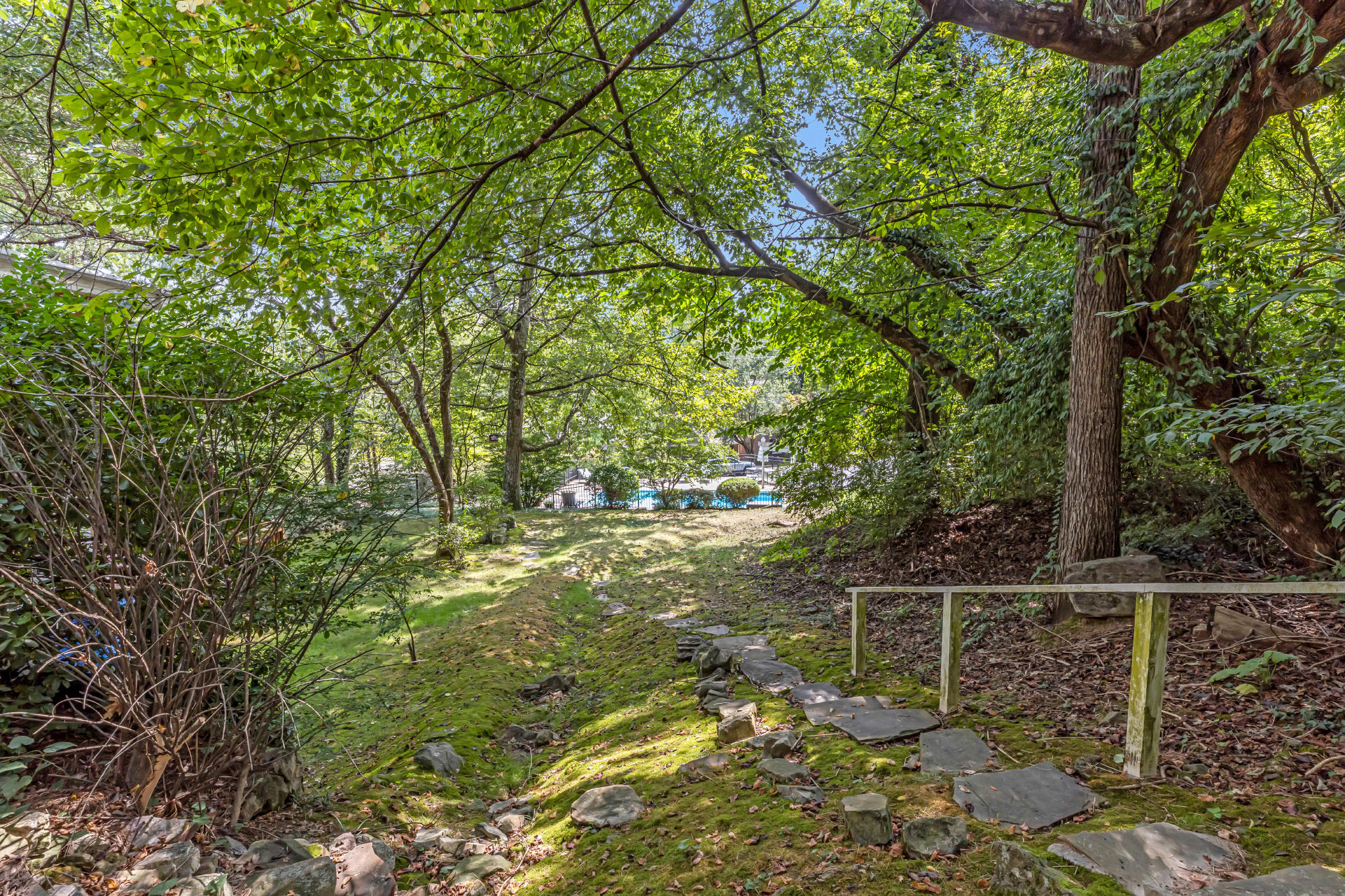 561 Winterview Lane Chattanooga, TN 37409 - Photo 21 of 24 Stairs to Pool