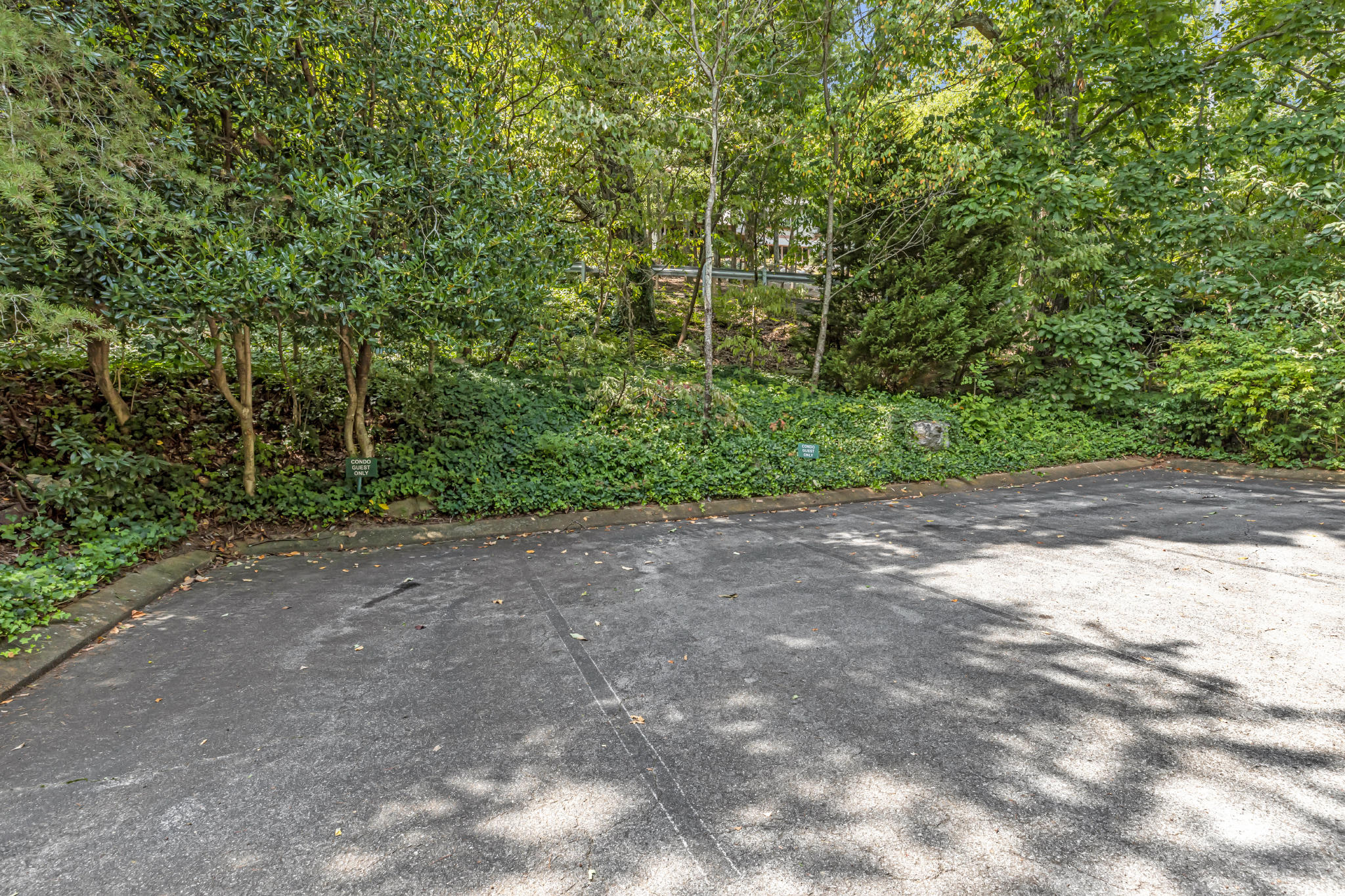 561 Winterview Lane Chattanooga, TN 37409 - Photo 24 of 24 Guest Parking