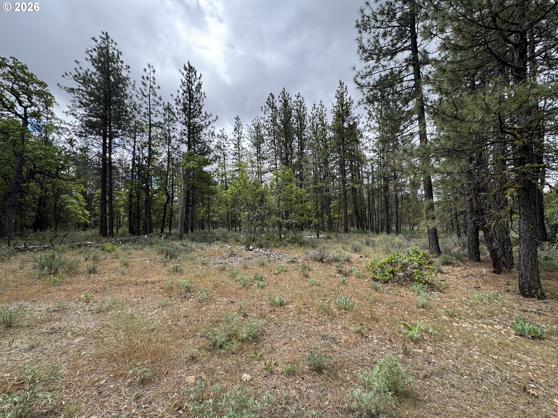 Old Mountain Road Goldendale, WA 98620 - Photo 13 of 41