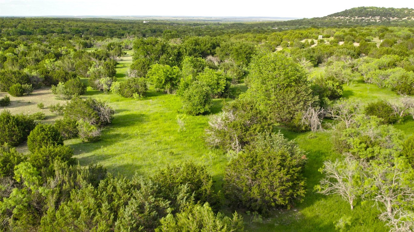 a view of a green field with lots of trees