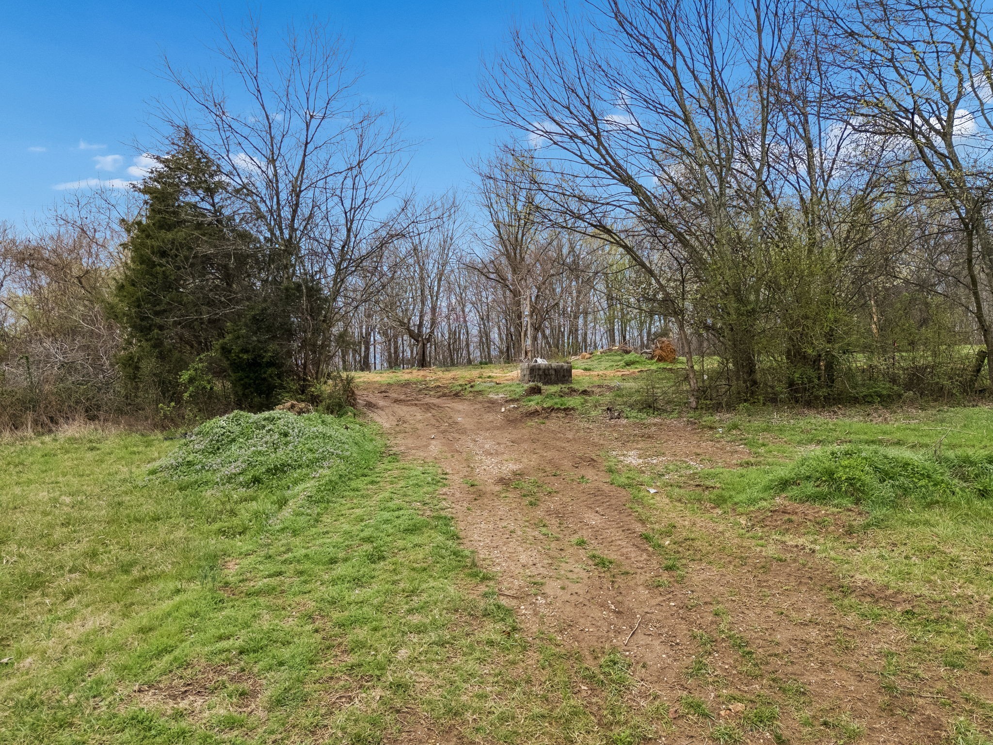 4094 Akin Ridge Road Williamsport, TN 38487 - Photo 43 of 94 Gallery Image 43