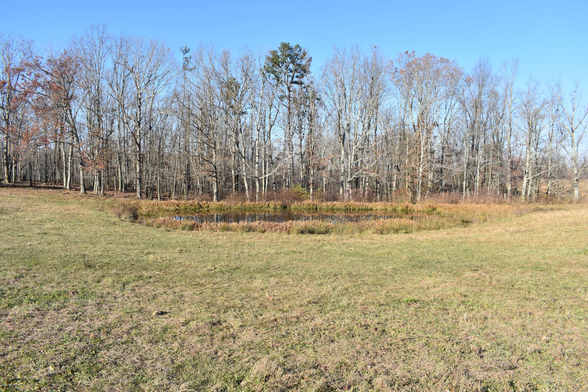 0 Cow Pen Road Crossville, TN 38571 - Photo 4 of 17 Gallery Image 4