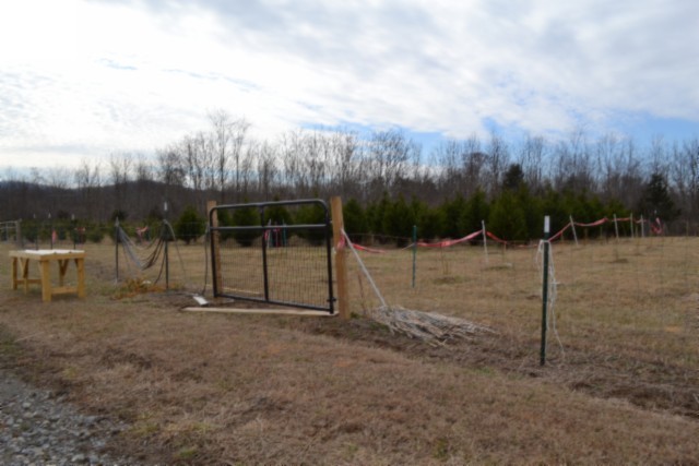 127 Rushing Springs Road Monterey, TN 38574 - Photo 36 of 52 Gallery Image 36