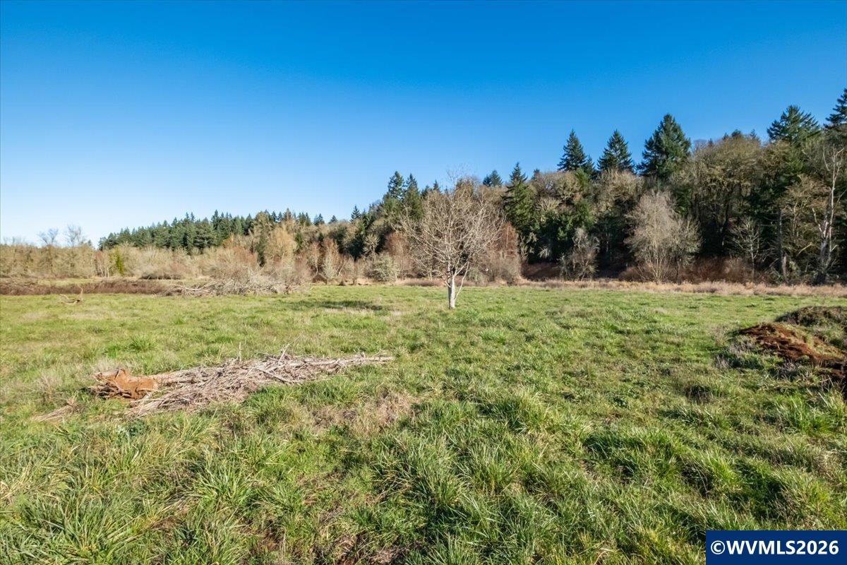 2531 Ballyntyne Road South Salem, OR 97302 - Photo 5 of 22