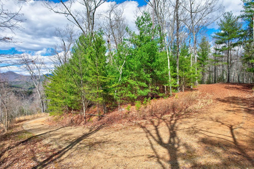 22-24 Rye Field Road Murphy, NC 28906 - Photo 7 of 26