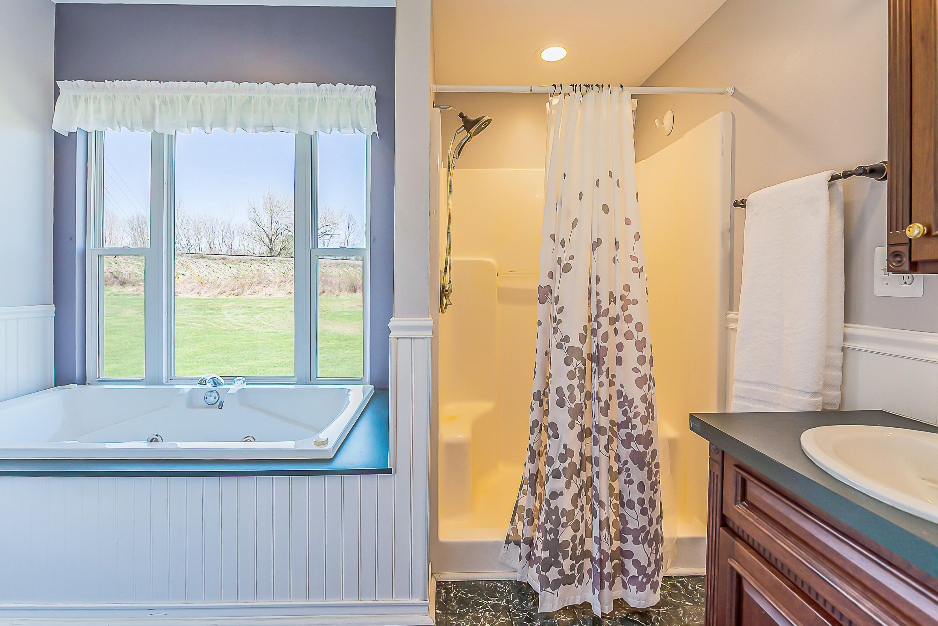 17275 Garvey Road Chelsea, MI 48118 - Photo 27 of 70 DSC_2705-2