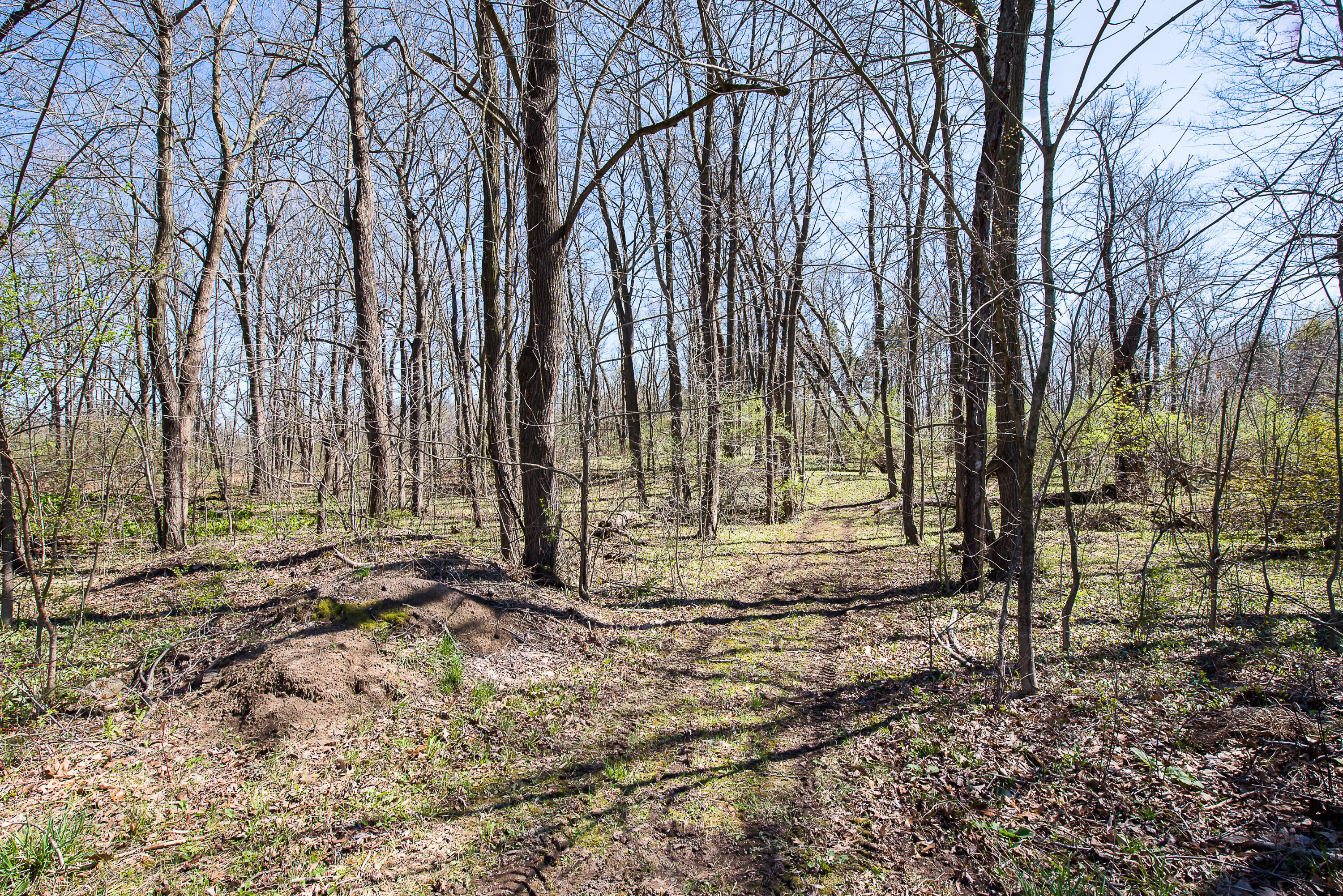 17275 Garvey Road Chelsea, MI 48118 - Photo 57 of 70 DSC_2964