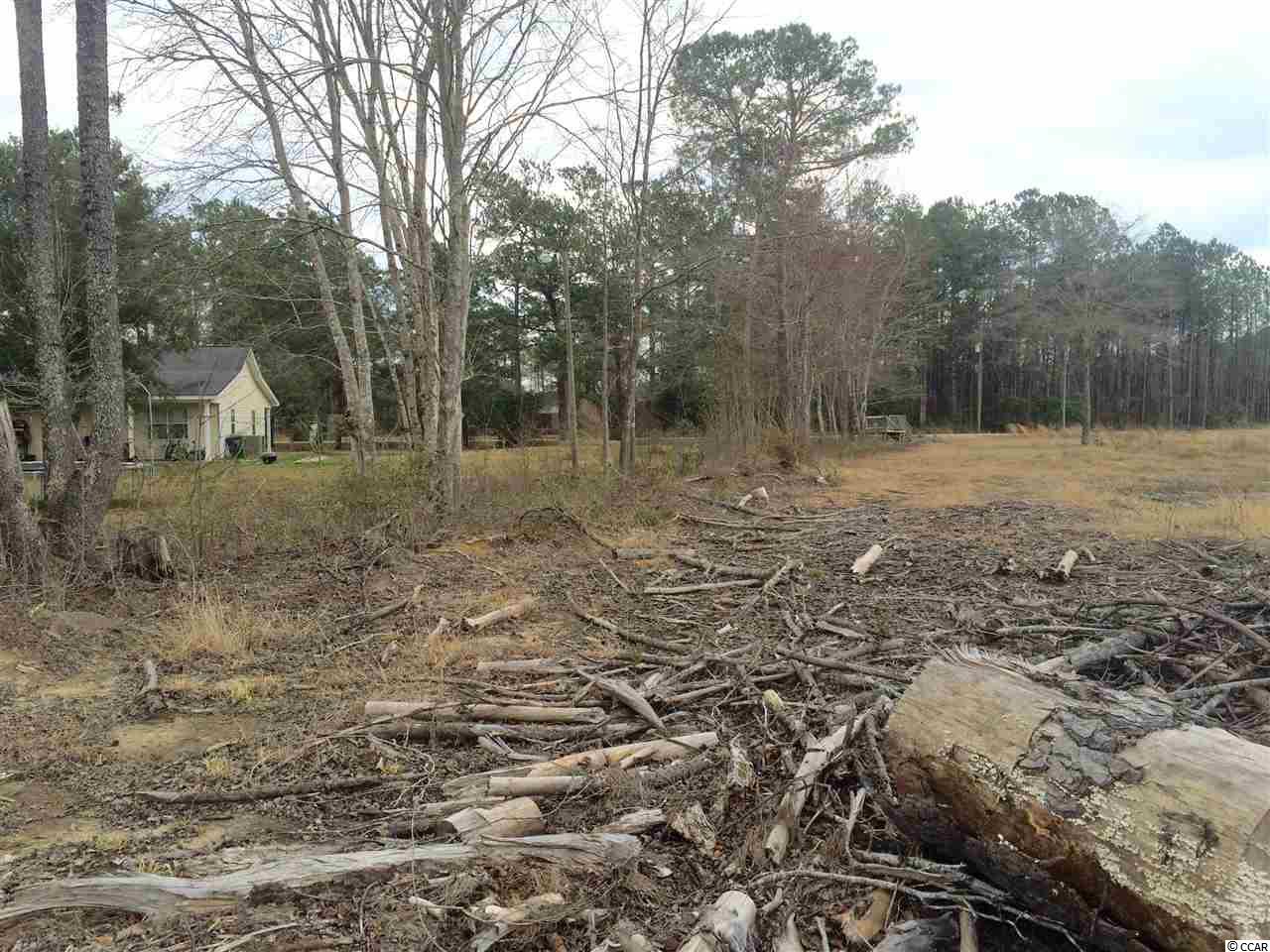 6180 Flossie Road Conway, SC 29527 - Photo 3 of 4 Gallery Image 3