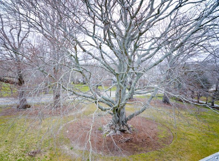 3420 Main Street, Unit 2 Barnstable, MA 02630 - Photo 20 of 35 Additional Photo