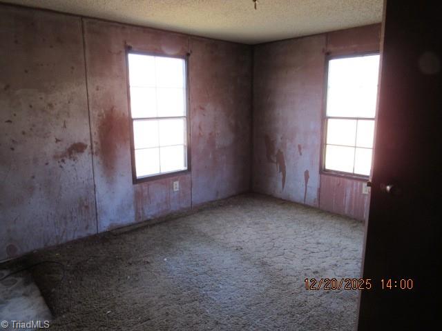 375 Marshall Johnson Road Pilot Mountain, NC 27041 - Photo 9 of 30