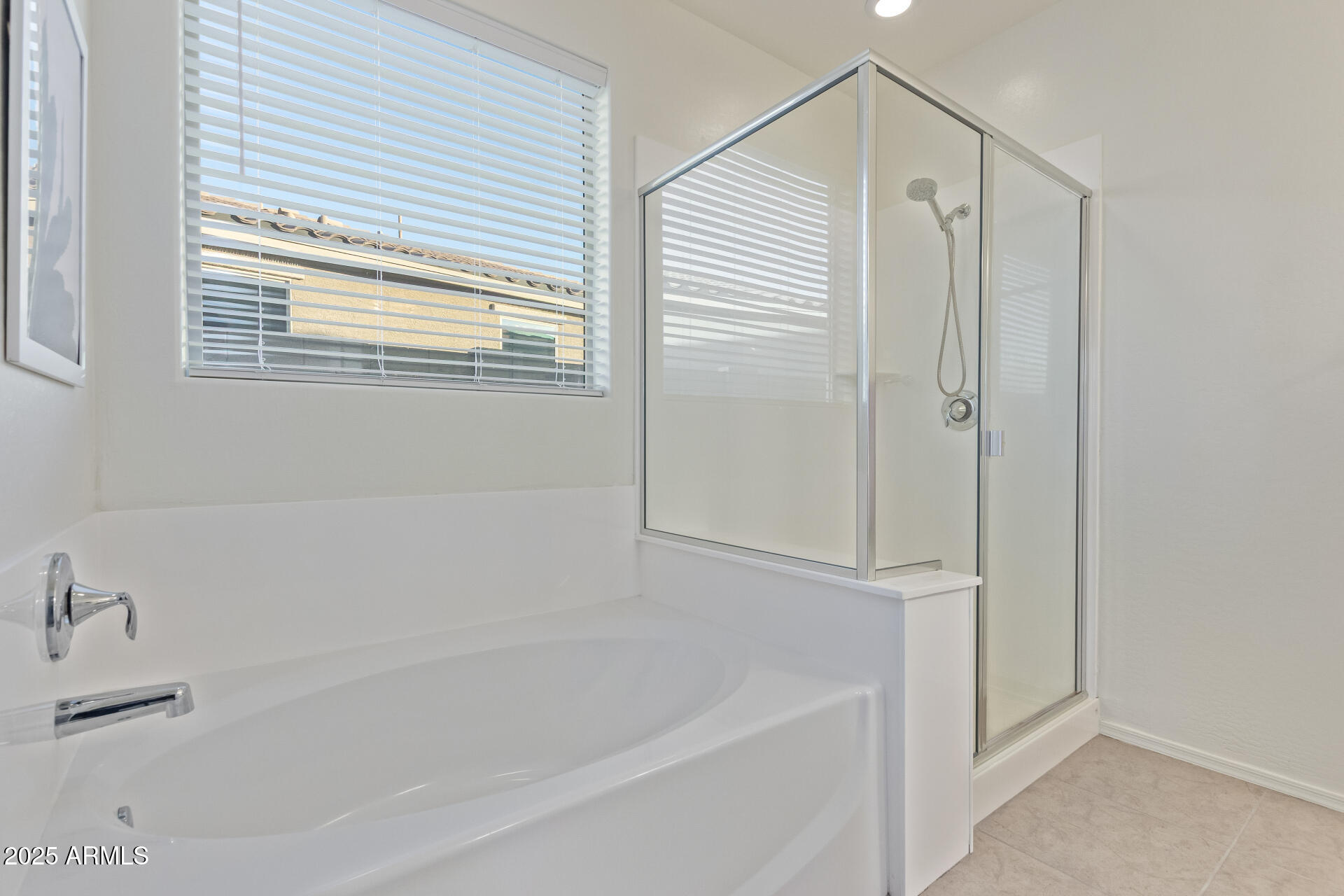 17796 West Sandy Road Goodyear, AZ 85338 - Photo 25 of 68 a bathroom with a bathtub and a window