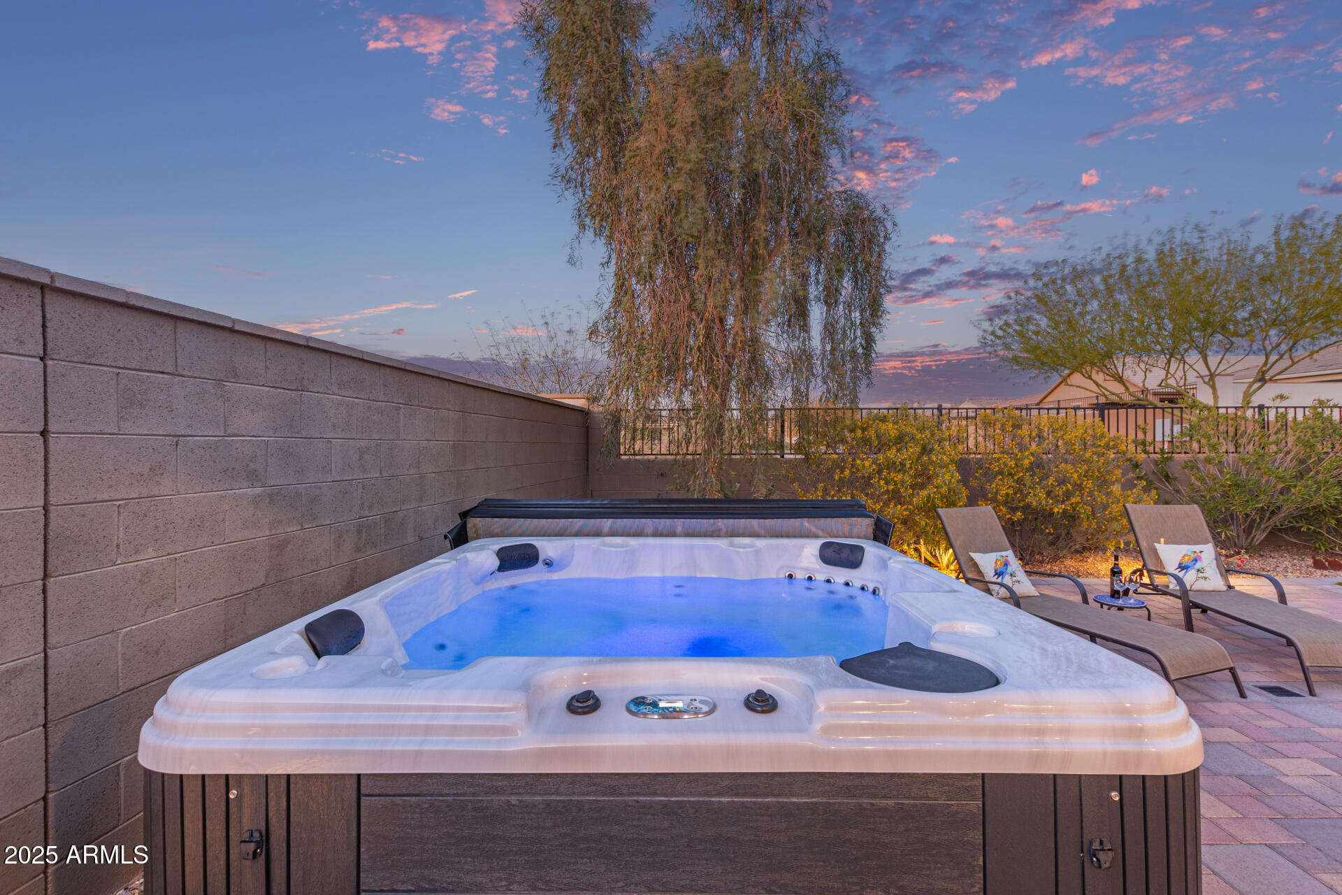 17796 West Sandy Road Goodyear, AZ 85338 - Photo 44 of 68 Spa & Views