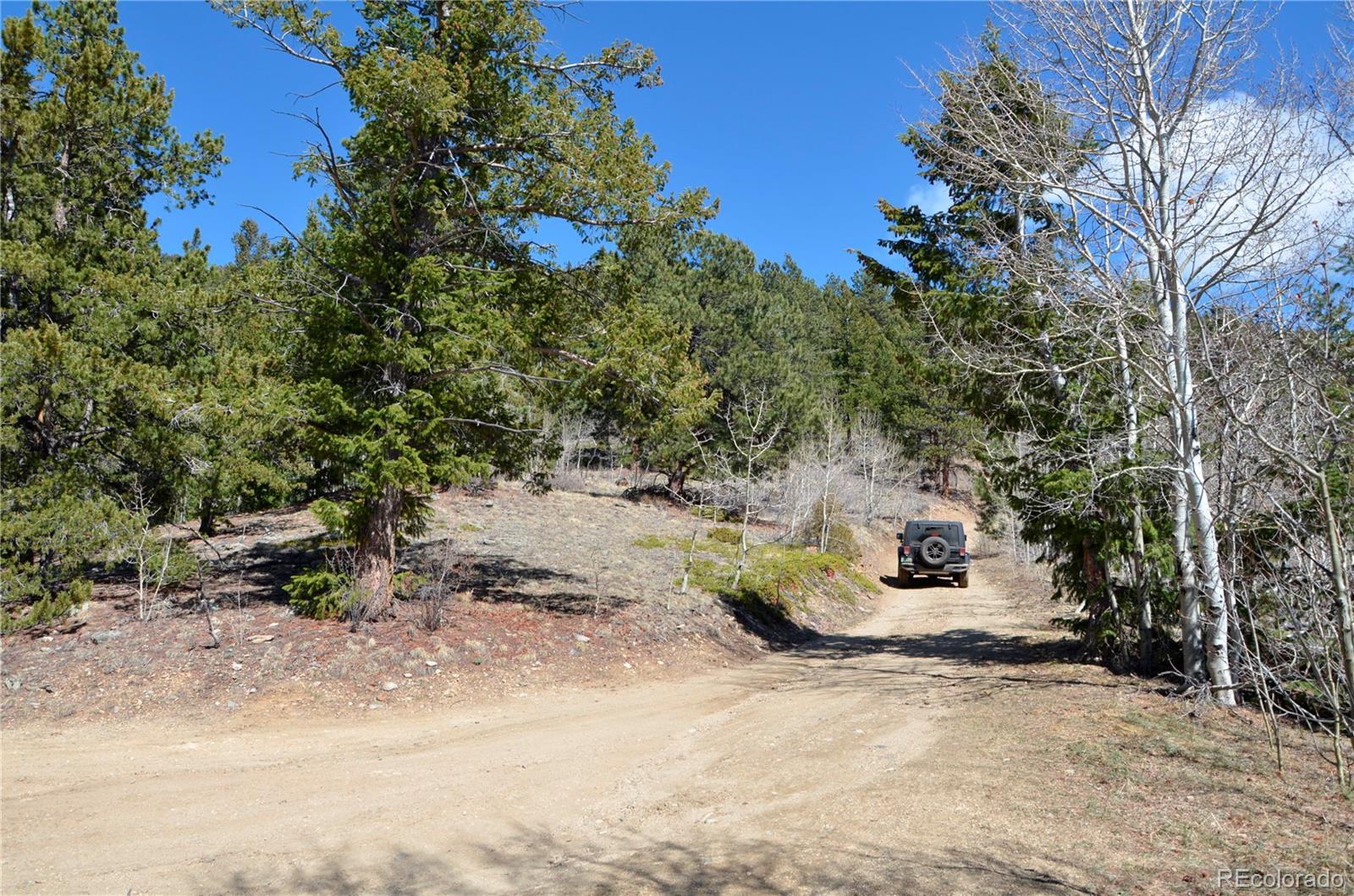 Chinook Road Idaho Springs, CO 80452 - Photo 4 of 25 Gallery Image 4