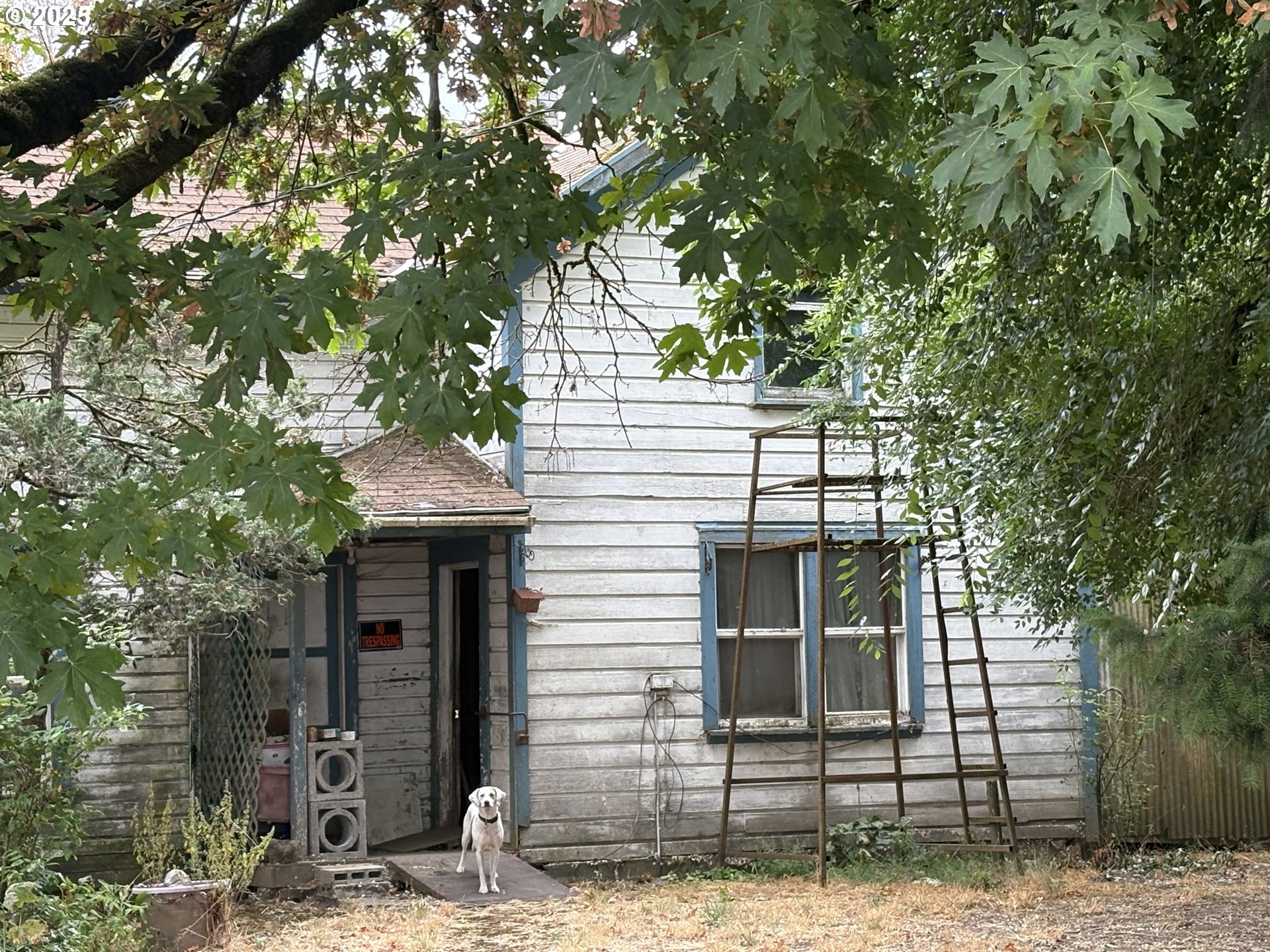 4236 Southeast Whiteson Road McMinnville, OR 97128 - Photo 12 of 18 a front view of a house with garage