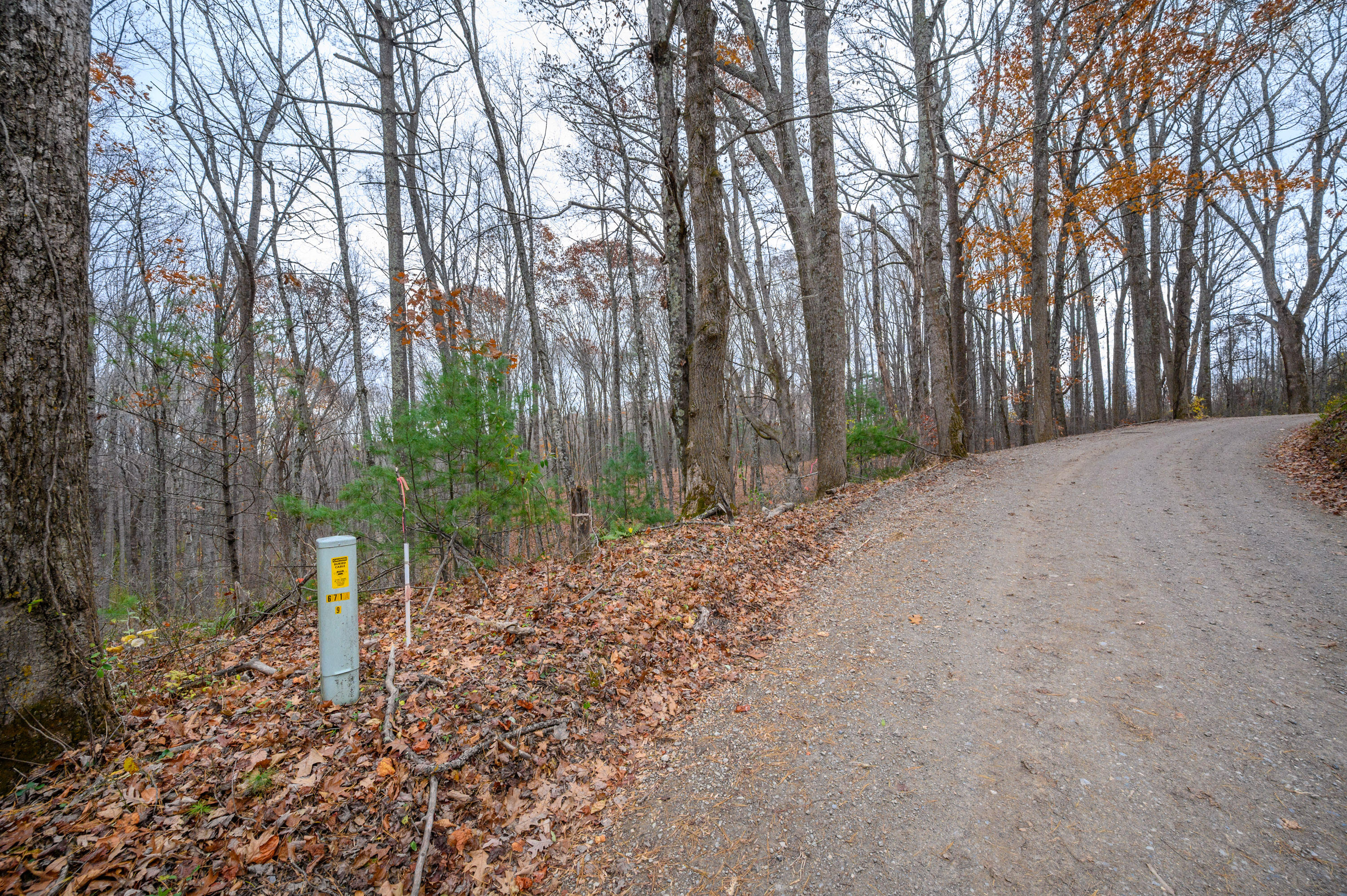 621 Wild Cherry Road Northeast Pilot, VA 24138 - Photo 15 of 21 a wooden fence with large trees