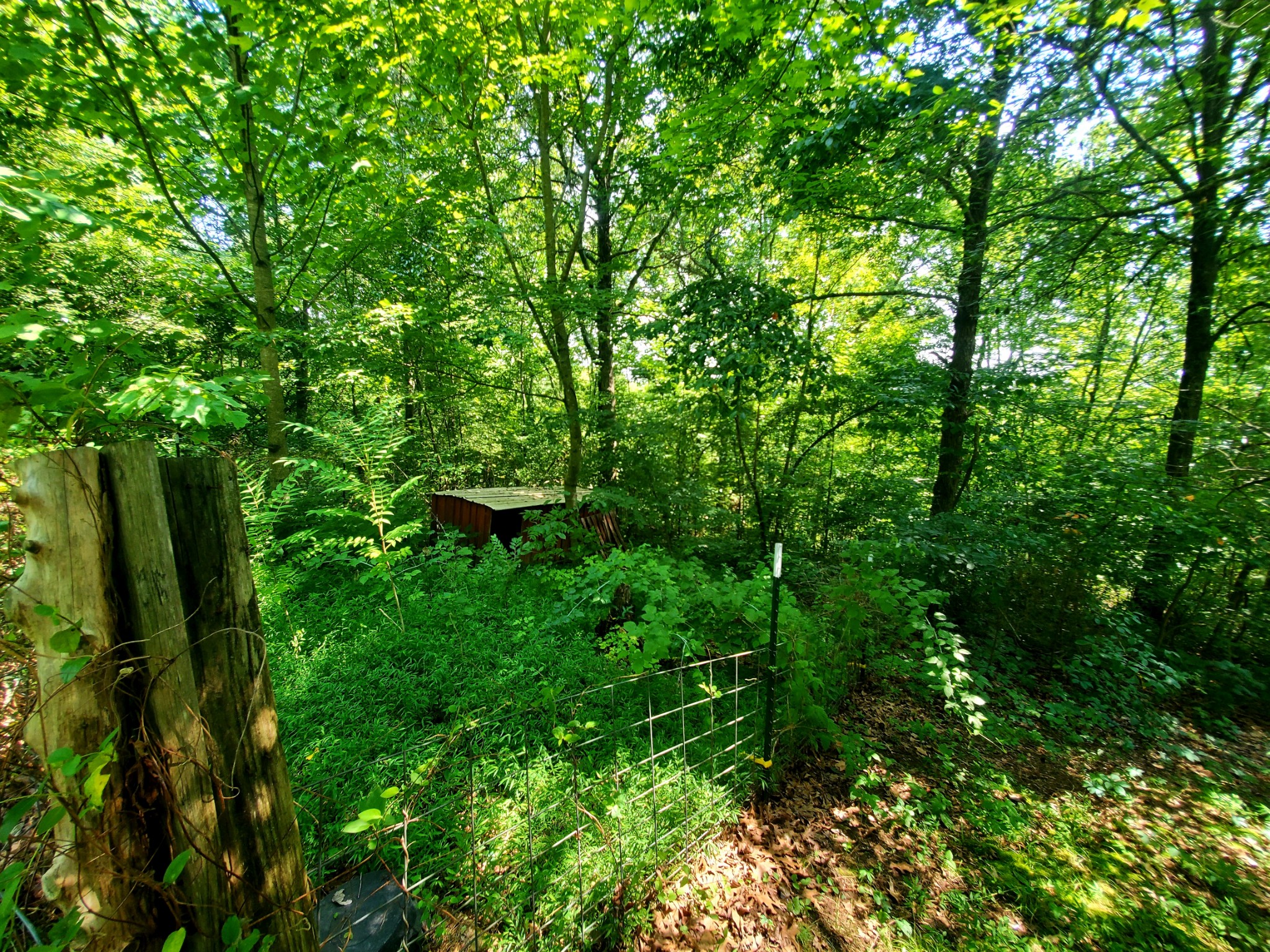 1101 Bryant Perry Road Bethpage, TN 37022 - Photo 30 of 34 Gallery Image 30