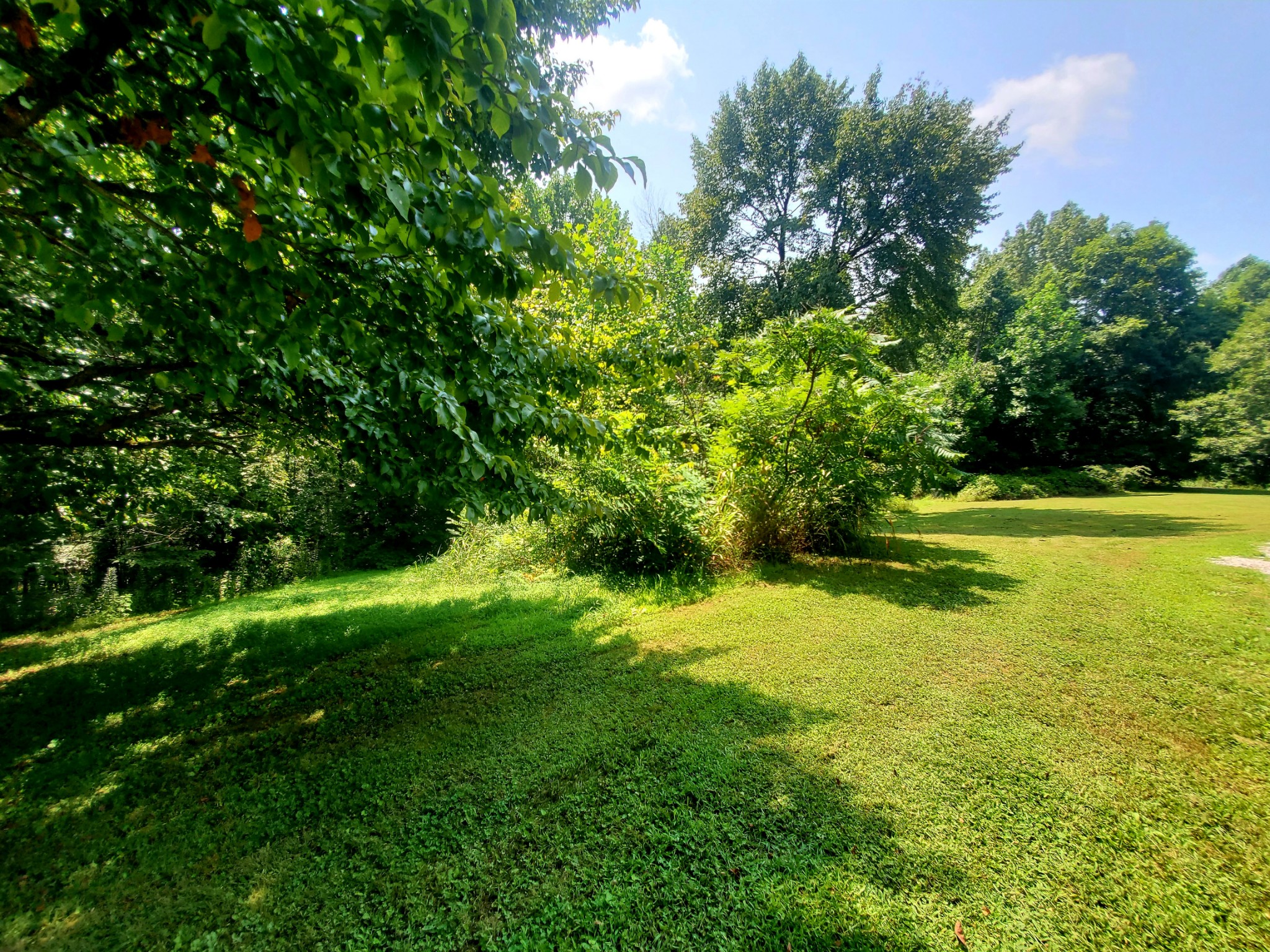 1101 Bryant Perry Road Bethpage, TN 37022 - Photo 33 of 34 Gallery Image 33