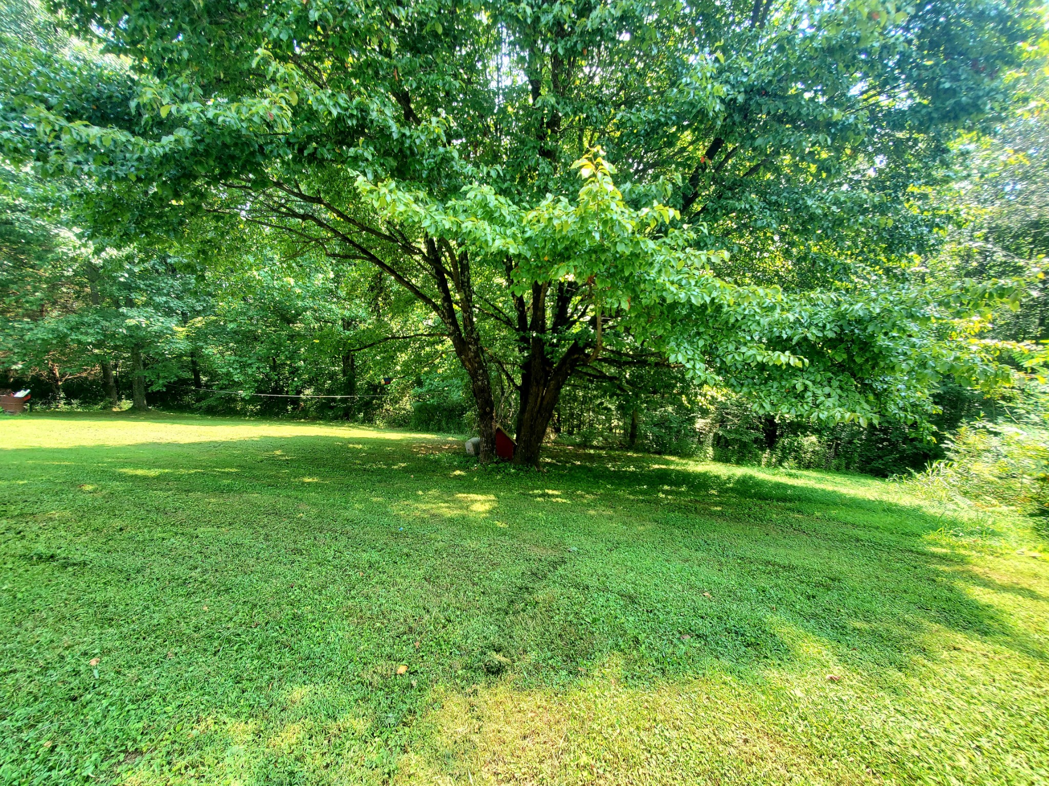 1101 Bryant Perry Road Bethpage, TN 37022 - Photo 34 of 34 Gallery Image 34