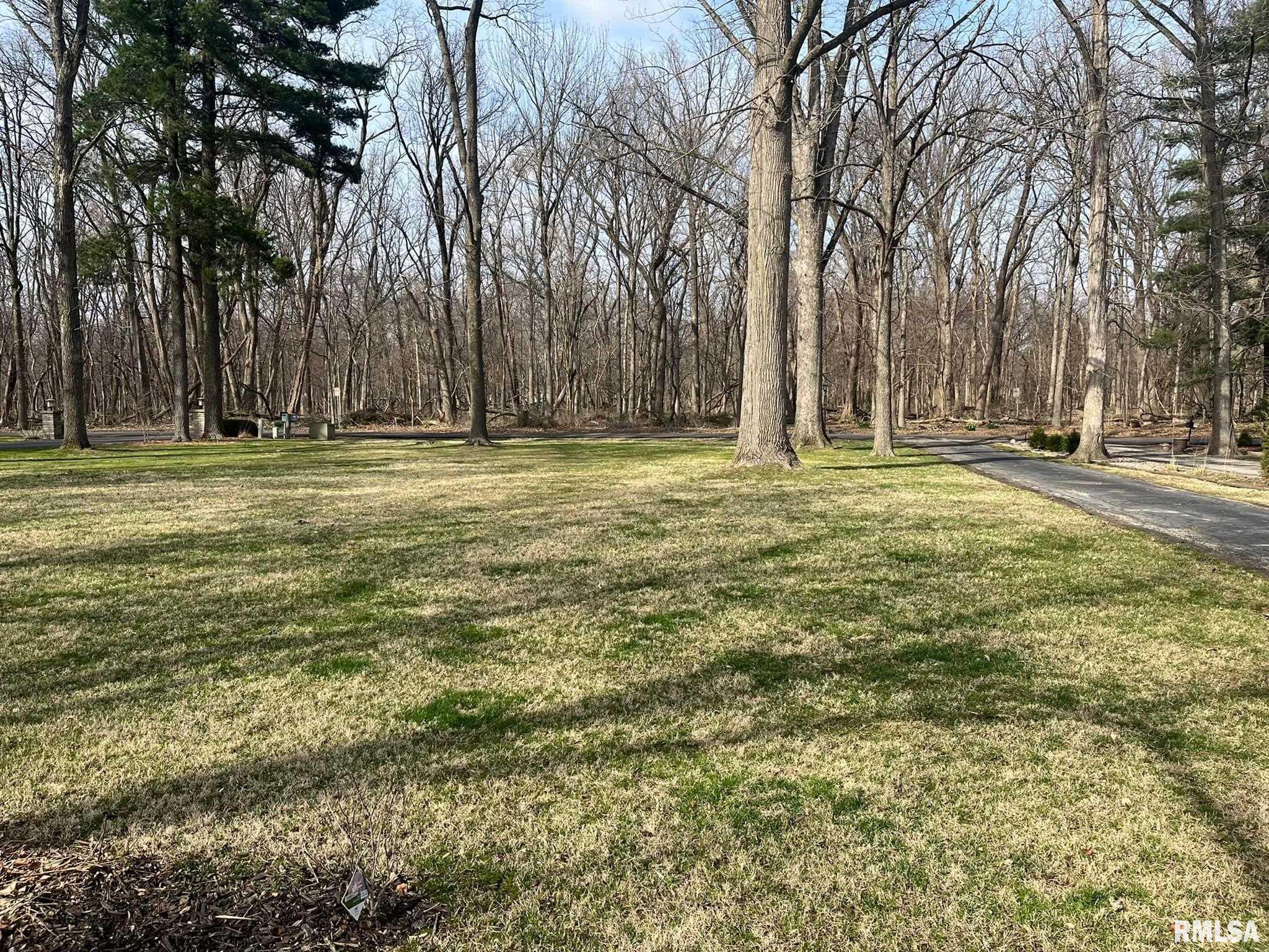 228 Maple Grove Lane Springfield, IL 62712 - Photo 5 of 7