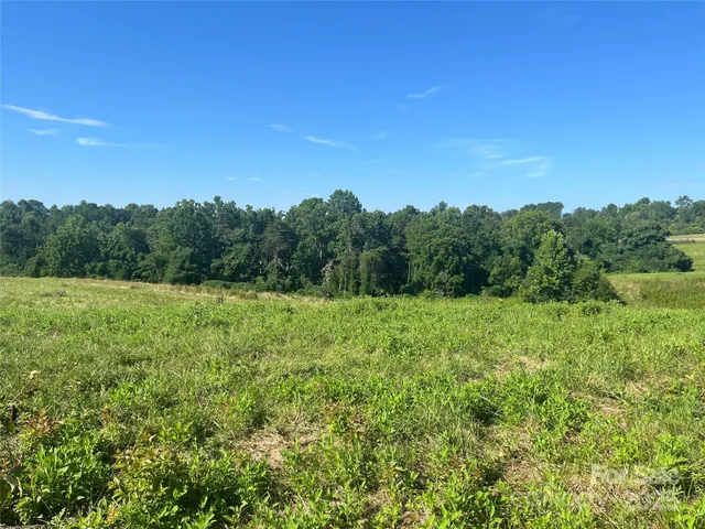 a view of a lush green space with sea