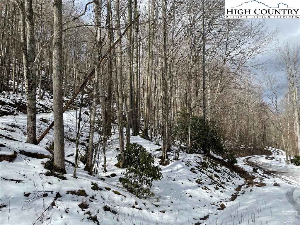 Lot 10 Buckeye Ridge Road Beech Mountain, NC 28604 - Photo 2 of 3 Gallery Image 2
