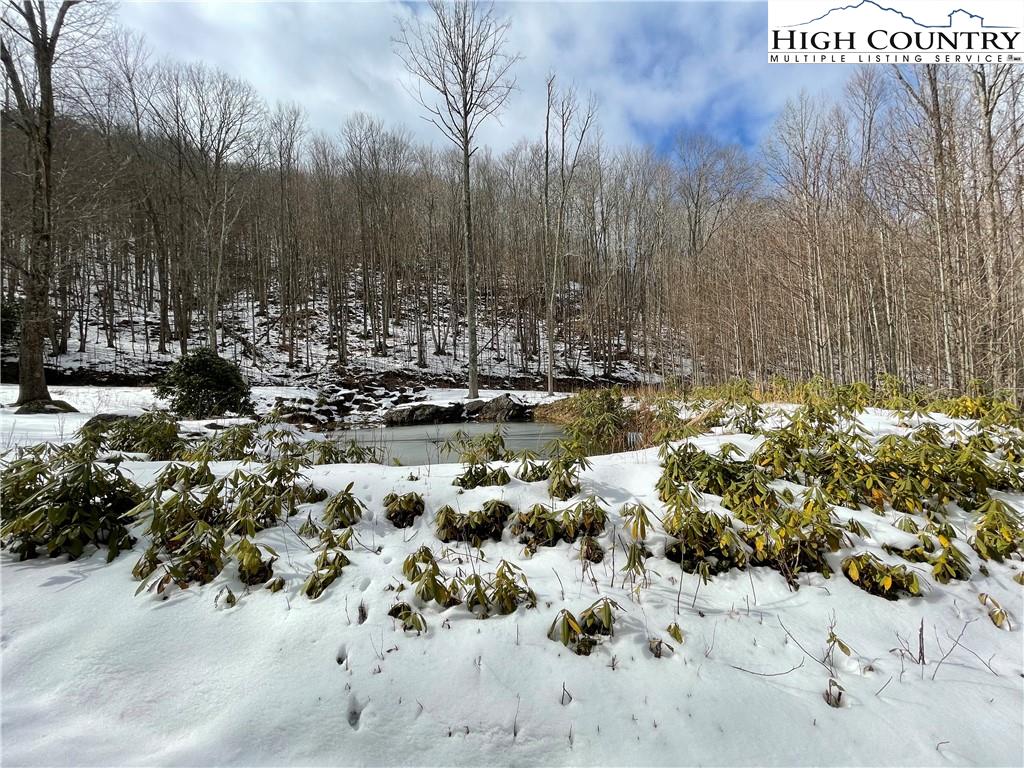 Lot 10 Buckeye Ridge Road Beech Mountain, NC 28604 - Photo 3 of 3 Gallery Image 3