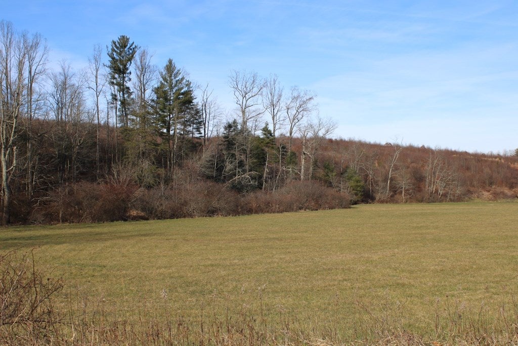 Tbd Greenberry Road, Unit 11 Fancy Gap, VA 24328 - Photo 4 of 17 Gallery Image 4