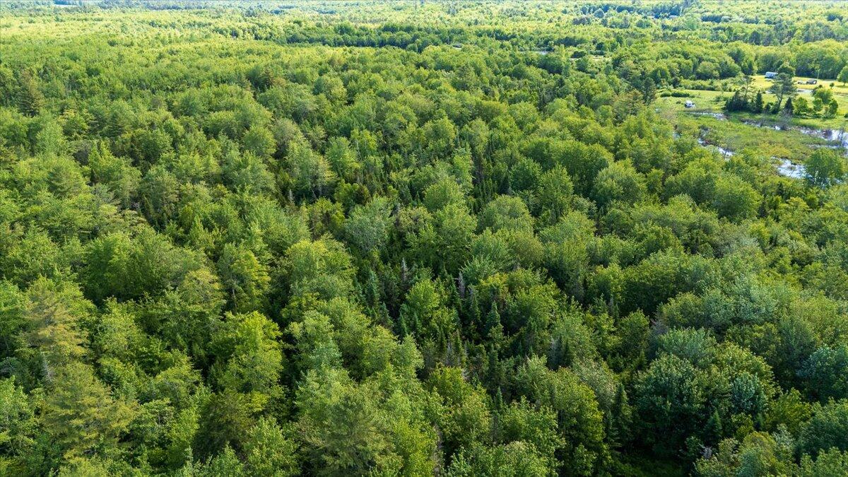 8 Cushing Road Cushing, ME 04563 - Photo 6 of 11 Map 7 Lot 8-1 Cushing Road, Cushing