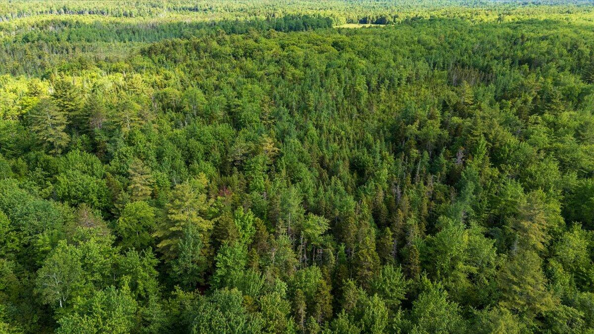 8 Cushing Road Cushing, ME 04563 - Photo 7 of 11 Map 7 Lot 8-1 Cushing Road, Cushing