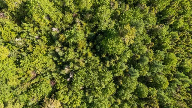 $320,000 | 8 Cushing Road, Cushing, ME 04563