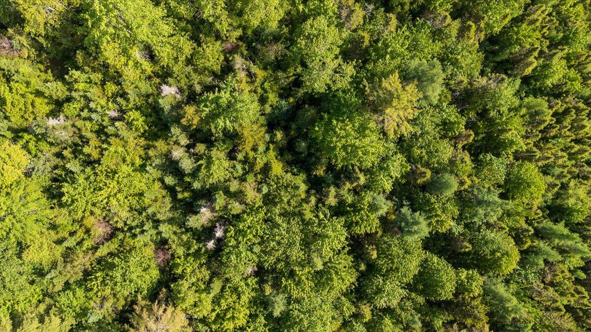 8 Cushing Road Cushing, ME 04563 - Photo 8 of 11 Map 7 Lot 8-1 Cushing Road, Cushing