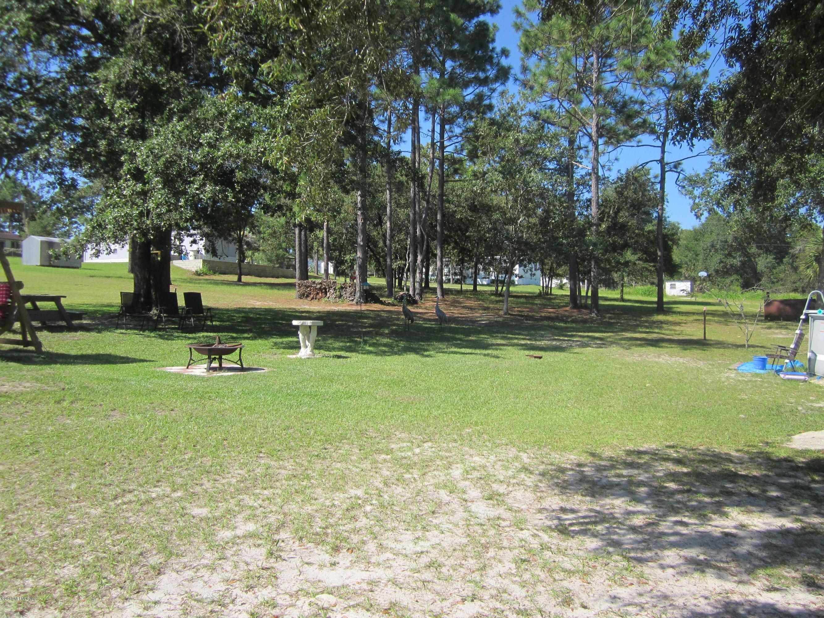 Back yard
