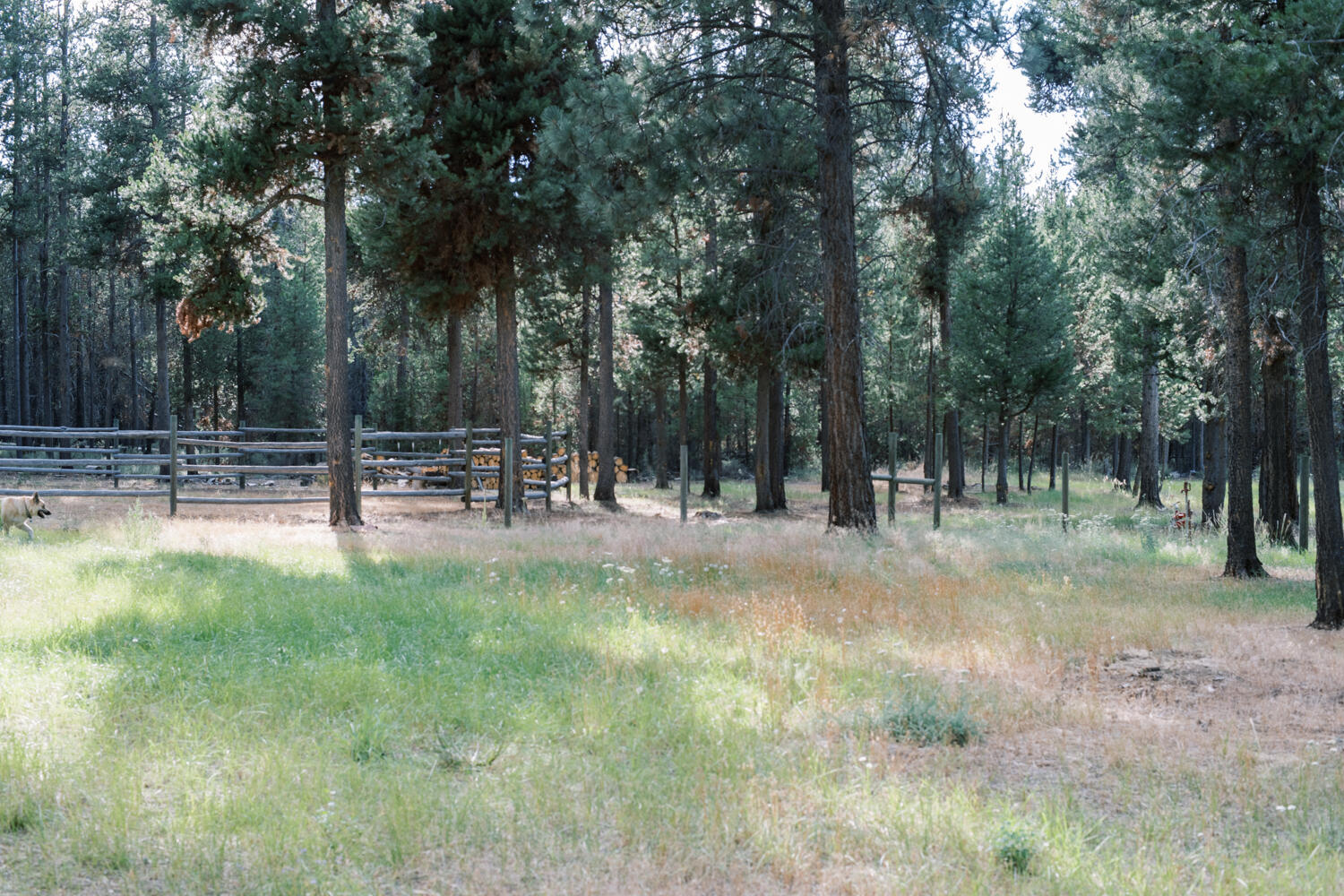 1749 Crescent Cutoff Road Crescent, OR 97733 - Photo 31 of 35 10