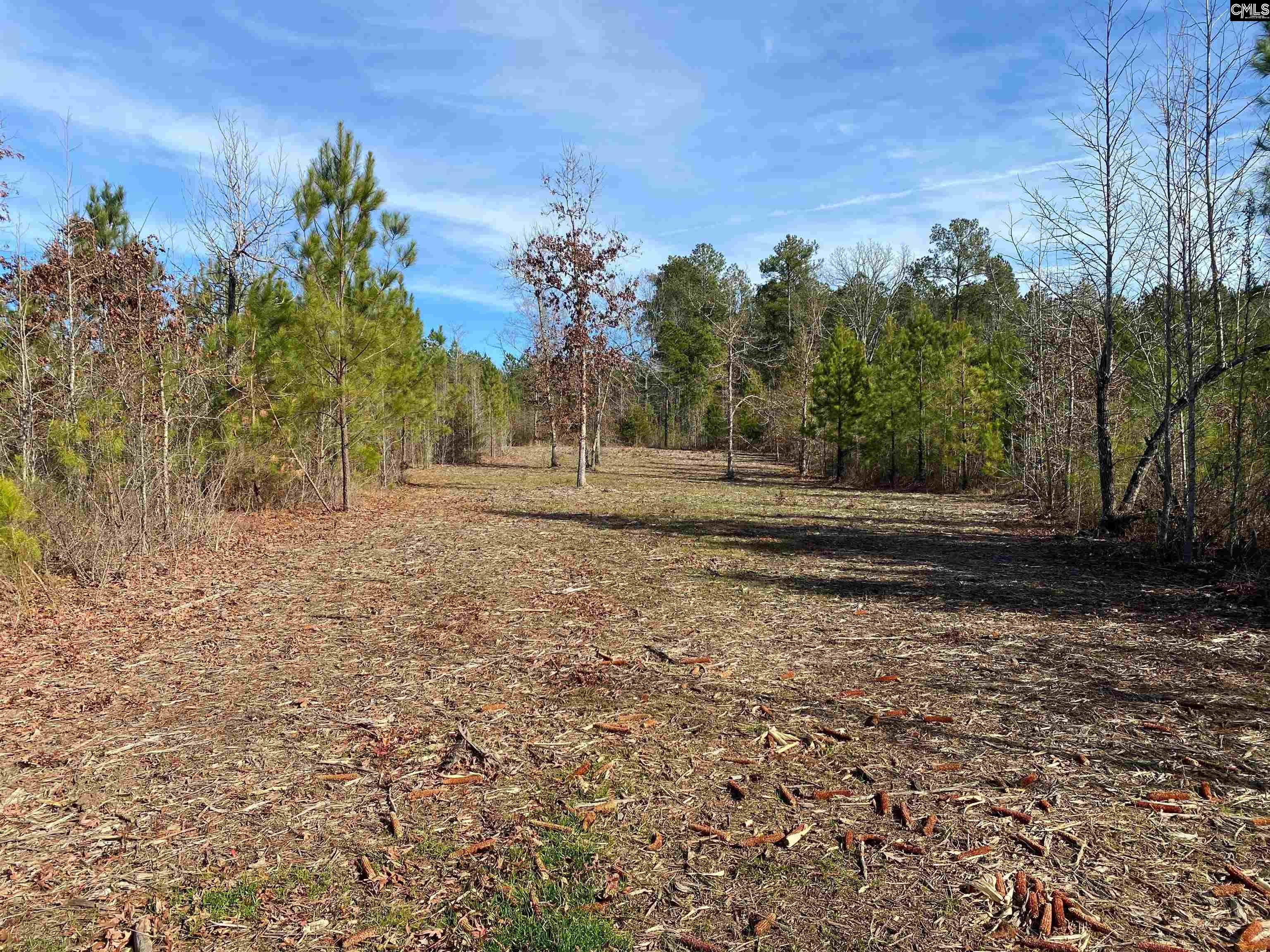 900 Pineywood Road Saluda, SC 29138 - Photo 17 of 23