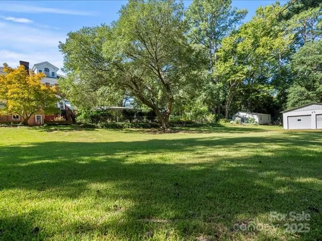 a view of a yard with plants and trees
