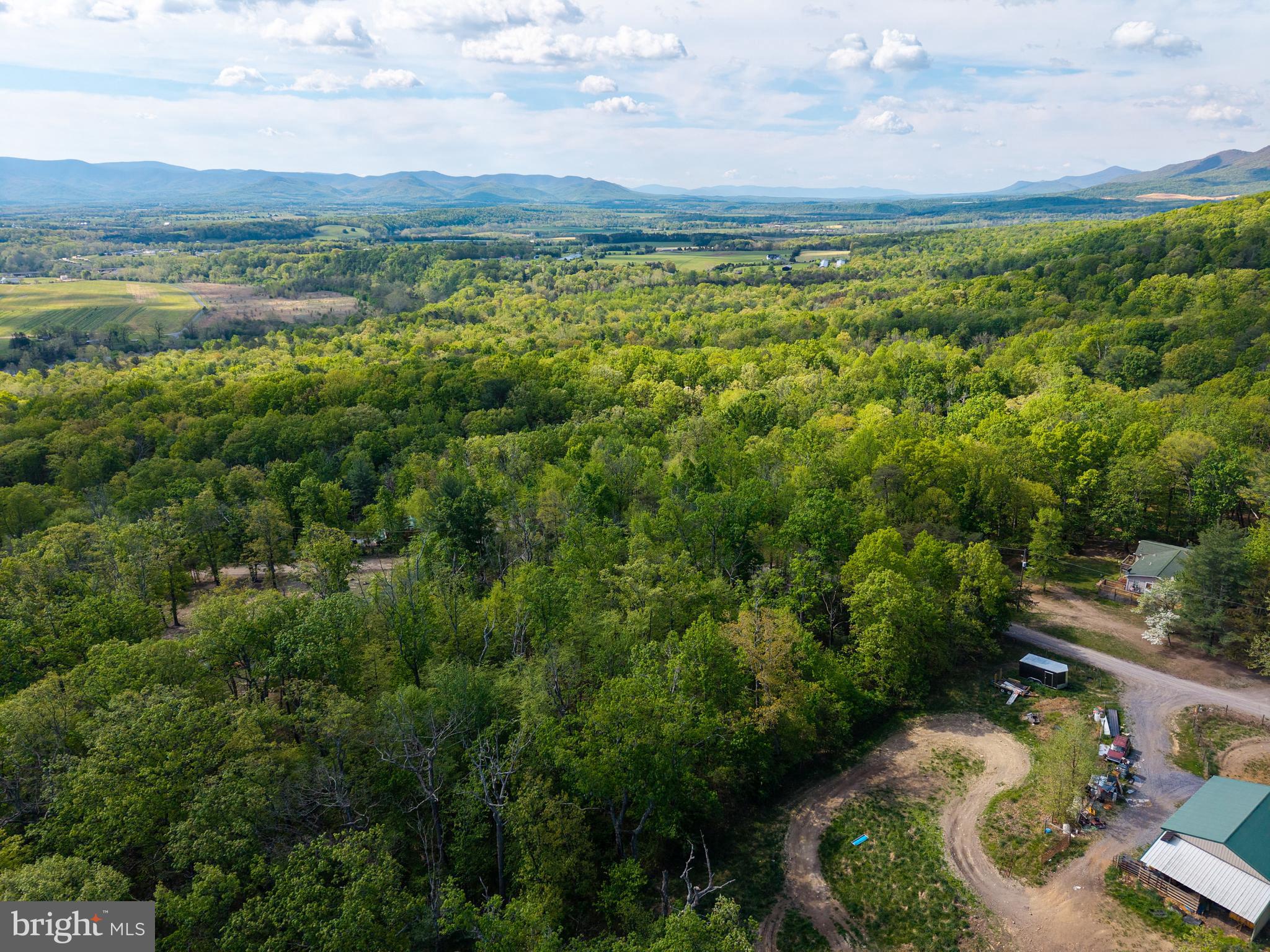 H49 Cross Creek Road Luray, VA 22835 - Photo 12 of 46 a view of a lush green forest with lots of trees