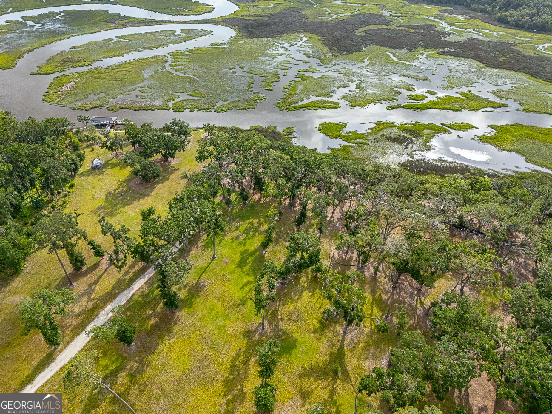 24 Carriage Drive St. Simons Island, GA 31522 - Photo 11 of 67 a close up of a plant in a garden